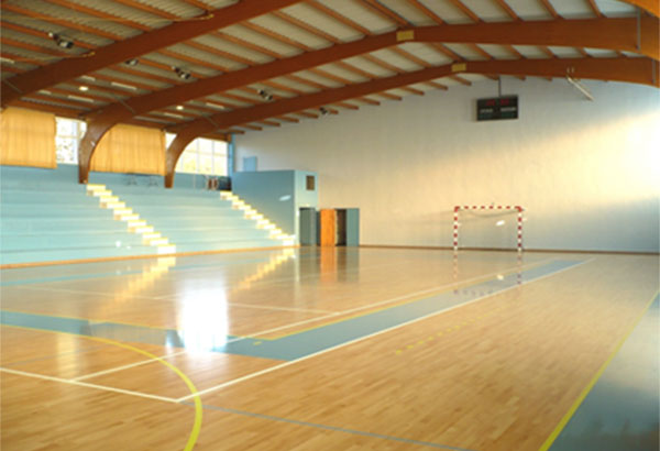 Sports de salle