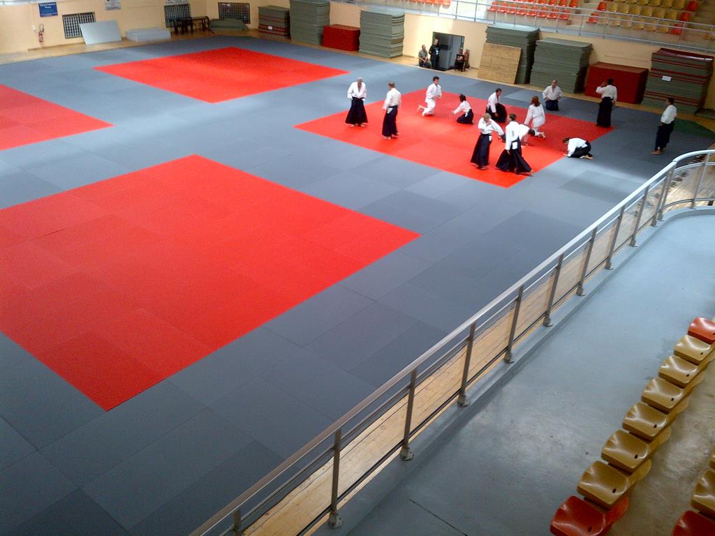 Tapis de sports de combat