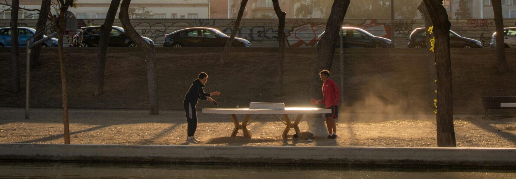Tennis de table