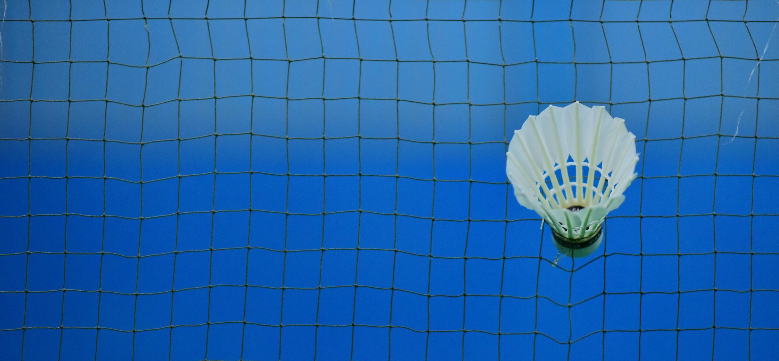 Filet de badminton